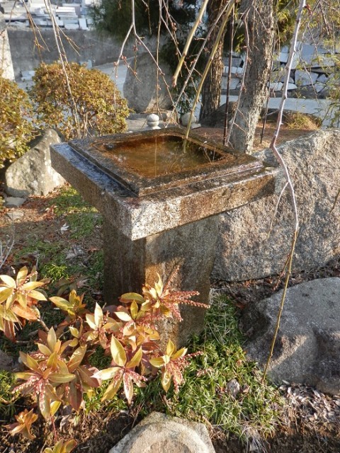 角型の水鉢サムネイル