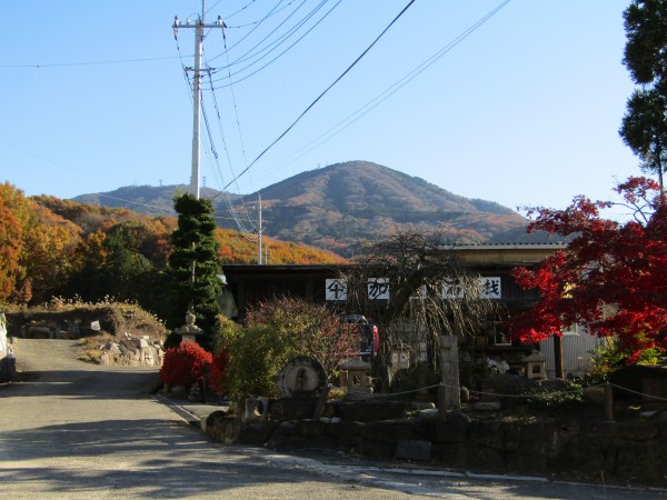 やっと紅葉が見頃になりました。サムネイル